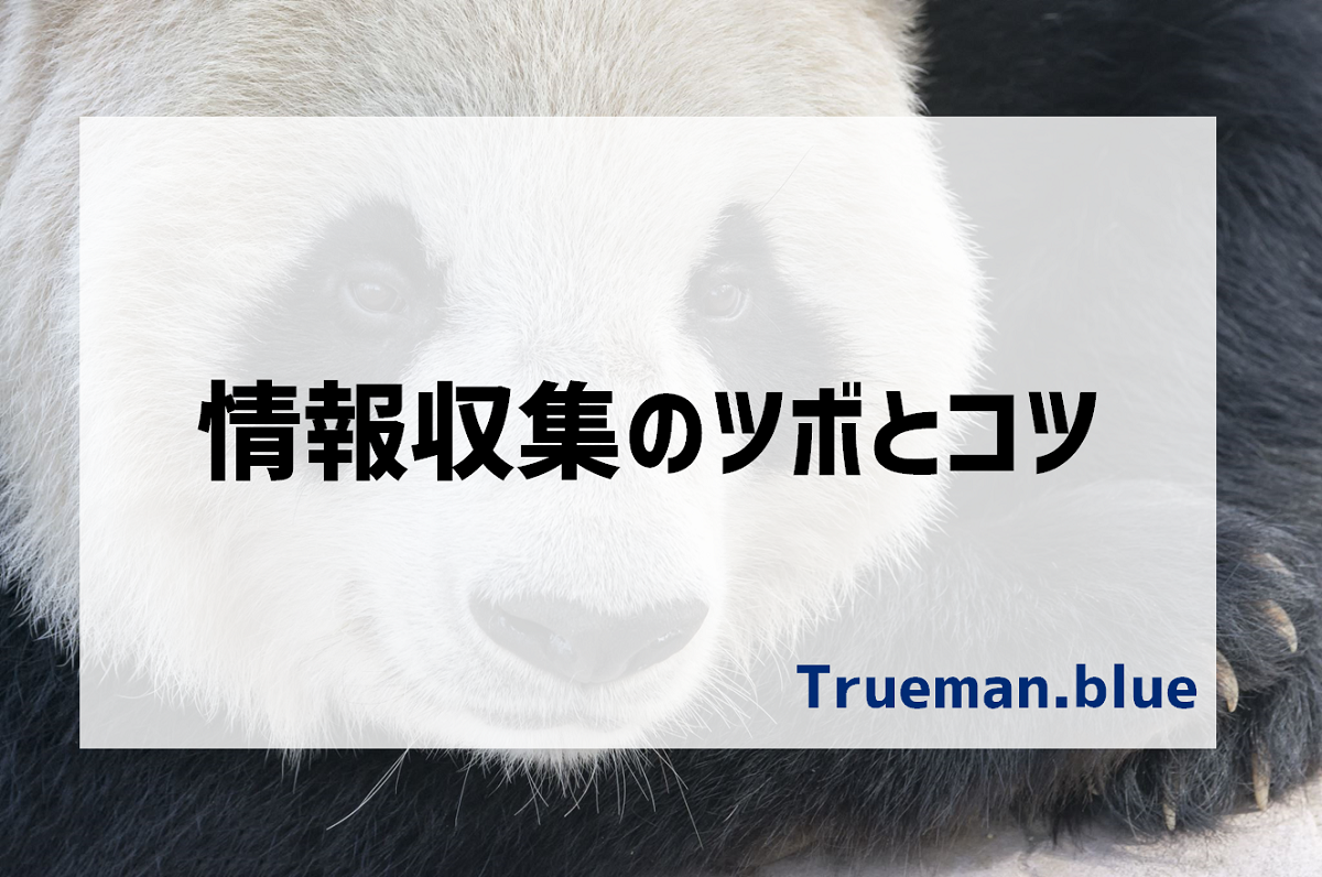 投資、情報収集ツボとコツ