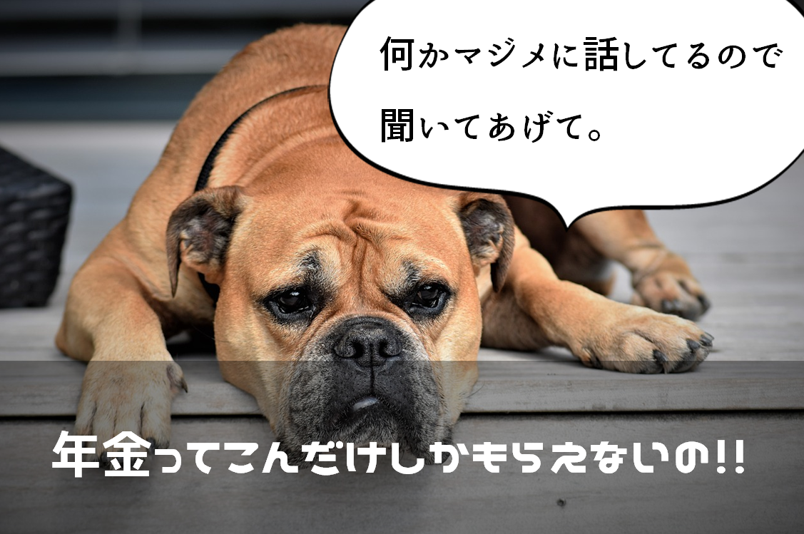 年金少ない