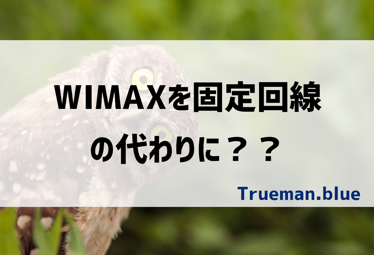 WIMAXで通信費節約