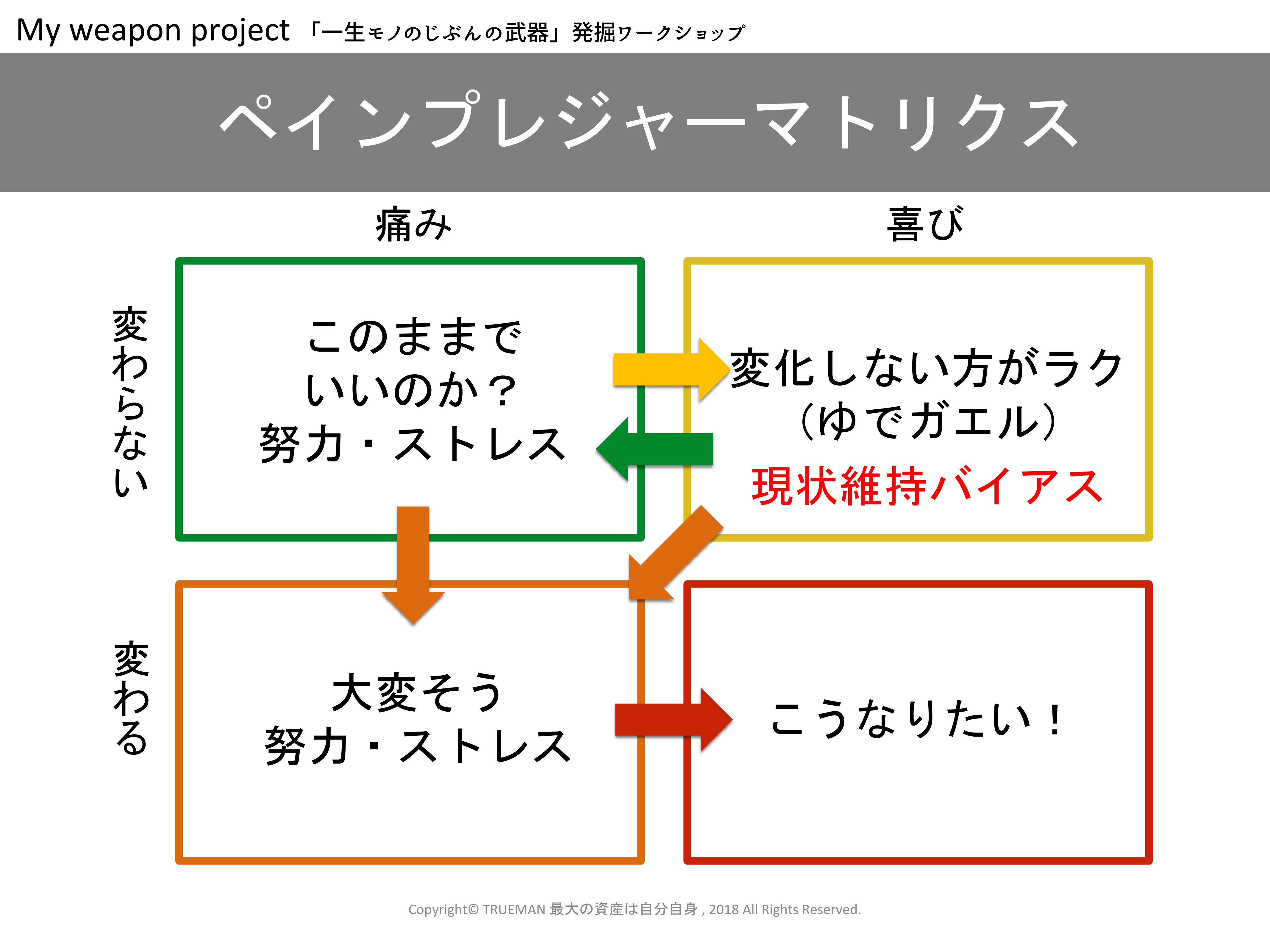 ペインプレジャーマトリクス